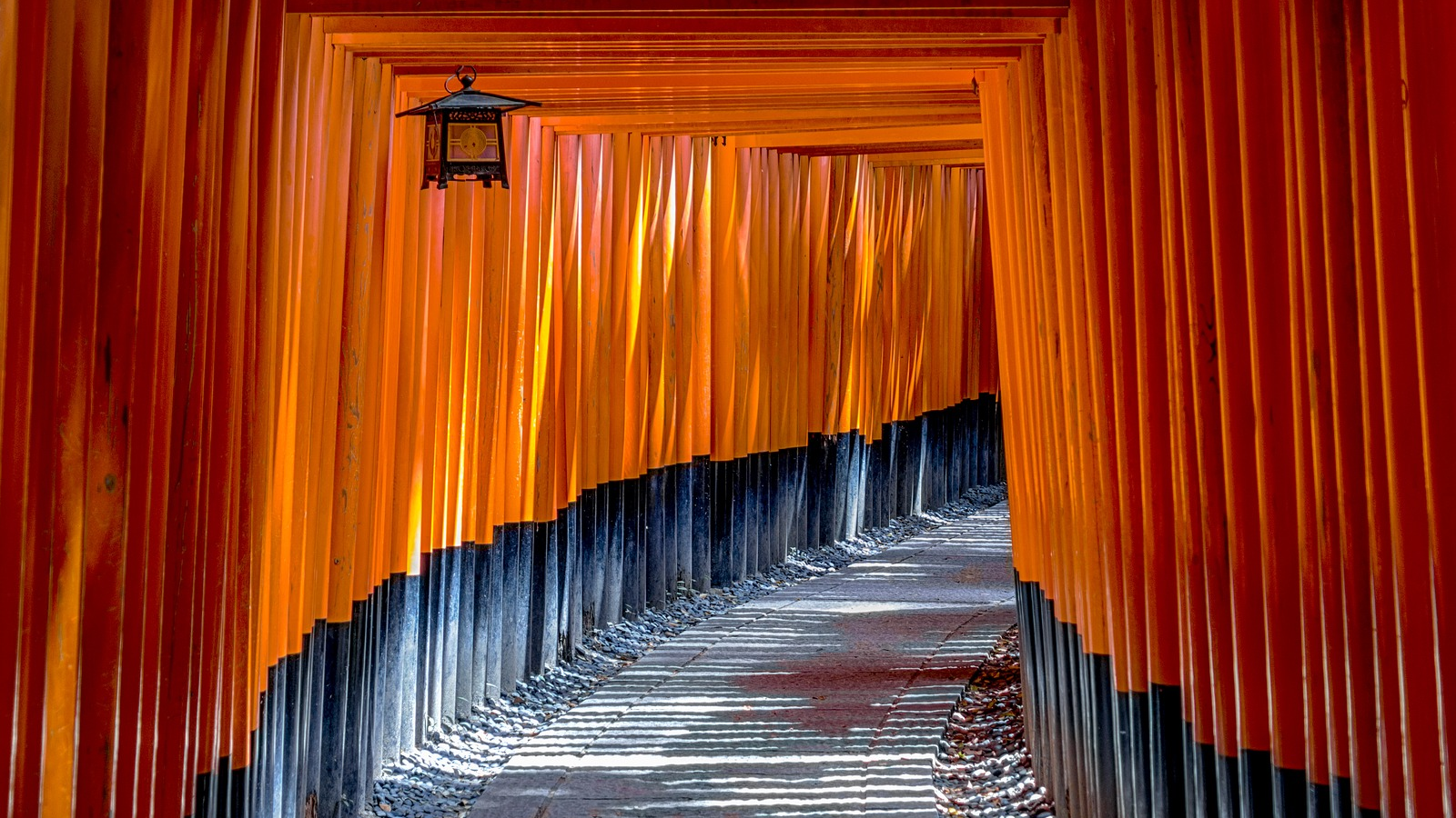 Oferta Japón. Viaje de grupo con salida el 1 de julio 2023