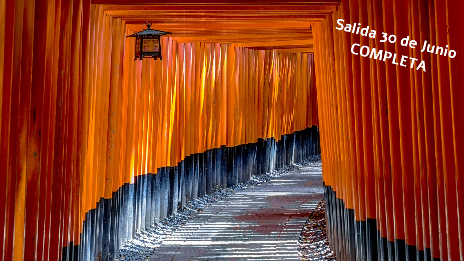 Oferta Japón. Viaje de grupo con salida el 30 de junio 2024