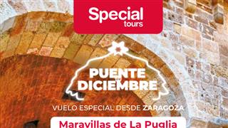 OFERTA MARAVILLAS DE PLUGIA. SALIDA EL 5 DE DICIEMBRE DESDE ZARAGOZA
