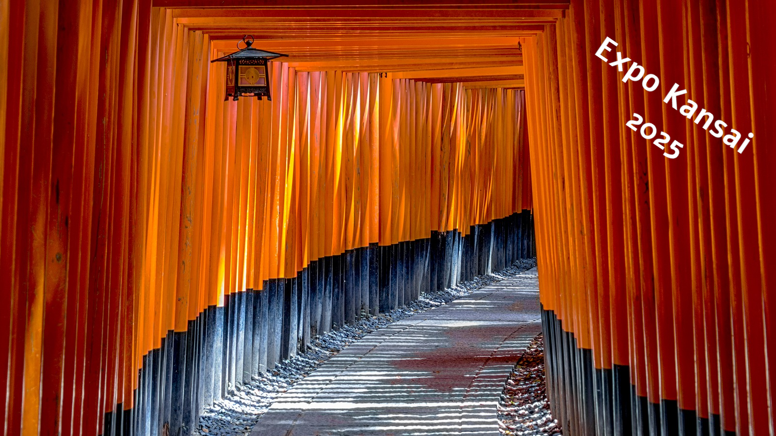 Oferta Japón. Viaje de grupo con salida el 2 de julio 2025