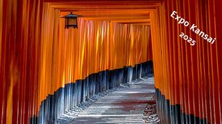 Oferta Japón. Viaje de grupo con salida el 2 de julio 2025