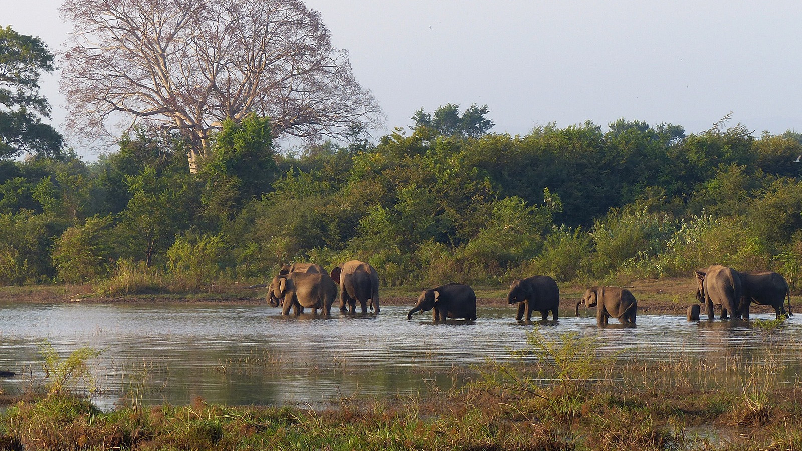 OFERTA VIAJE A SRI LANKA EN GRUPO CON SALIDA DESDE ZARAGOZA 