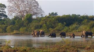 OFERTA VIAJE A SRI LANKA EN GRUPO CON SALIDA DESDE ZARAGOZA 